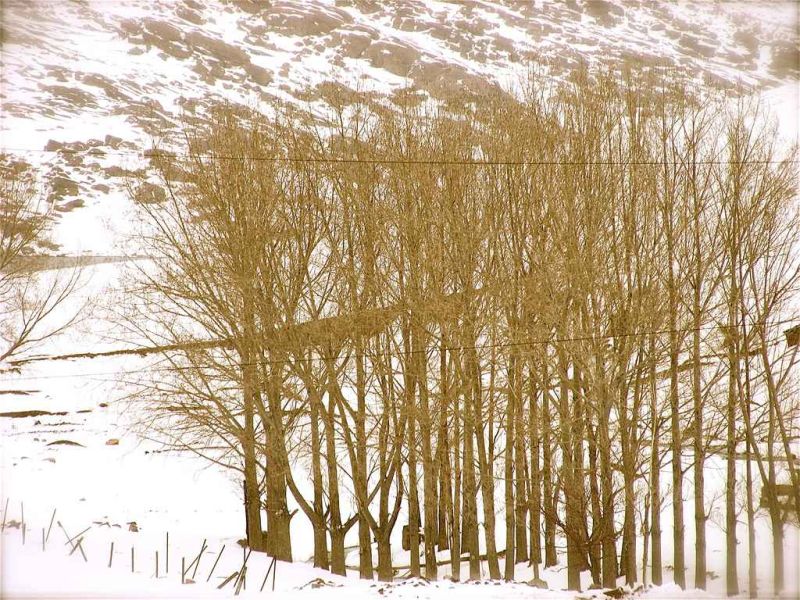 bonne semaineun peu de magie sur les montagnes au maroc.jpg